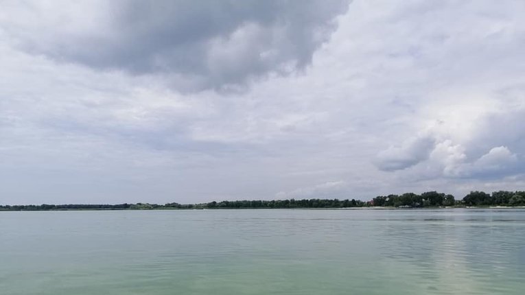 Дніпровська вода зазеленіла поблизу Кременчука