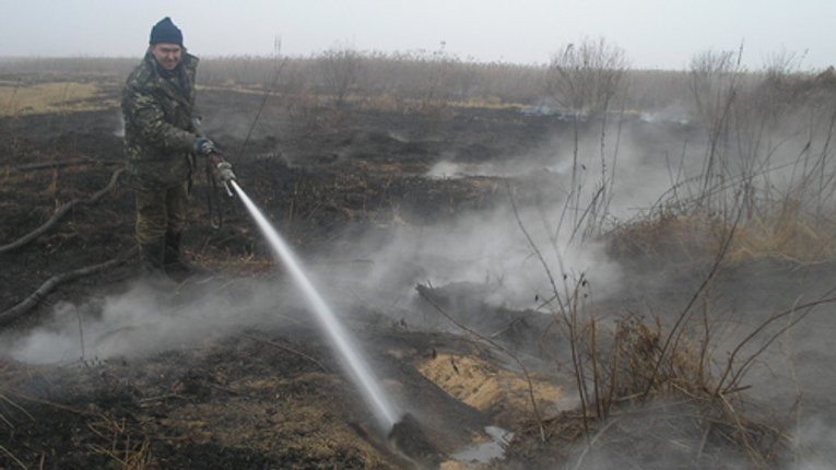 Вогнеборці Полтавщині продовжують гасити пожежу на торфовищах