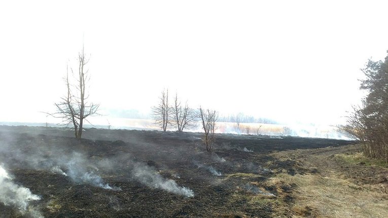 У Семенівському районі трапилася чергова пожежа на відкритій території