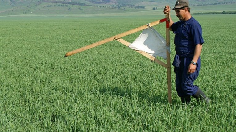 Іноземці почнуть скуповувати українську землю з 2024 року, — «Слуги народу»