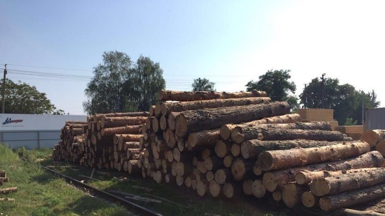 Смотрящий від поліції за раз вирубав дуба щонайменше на 1,5 млн грн