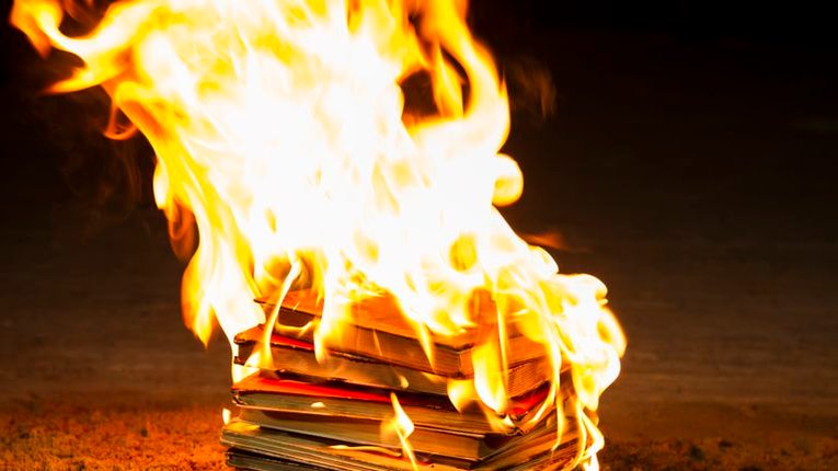 Бібліотеки Канади обмежать доступ до книжок, в яких популяризується «перевага білої людини»