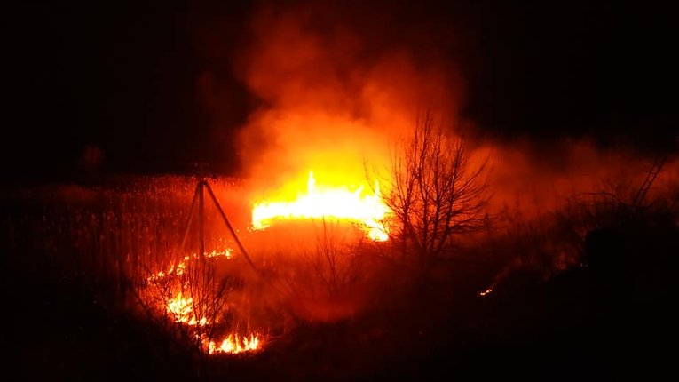 Наслідки «господарювання»