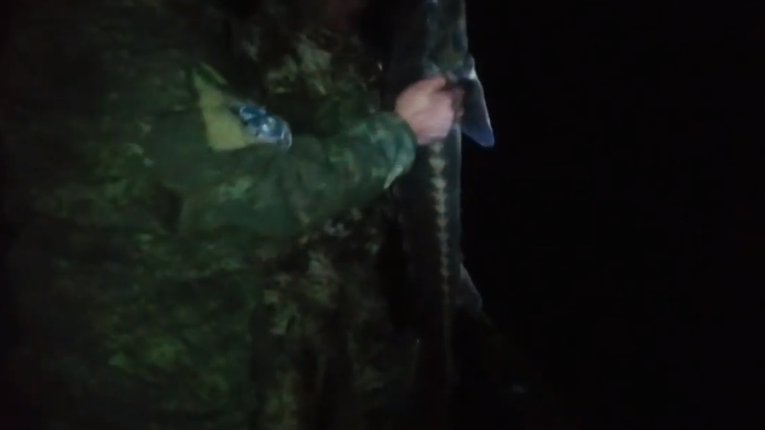 На Херсонщині рибалкам завадили здійснювати вилов рідкісних осетрів