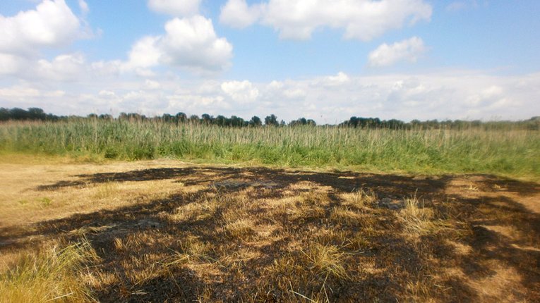 У Чорнухинському районі горіло поле