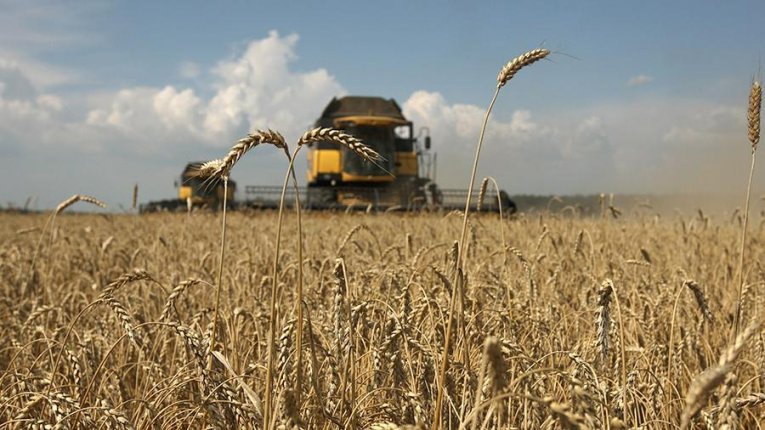 Сільське господарство України входить у час стагнації