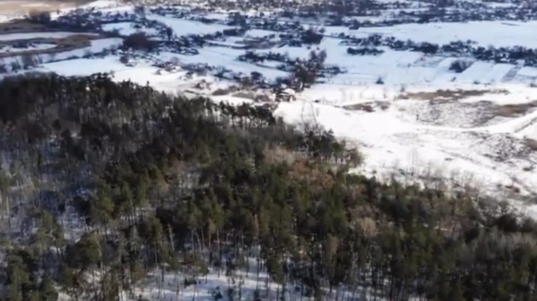 Селяни Миргородського району вимагають покарати «лісову мафію»