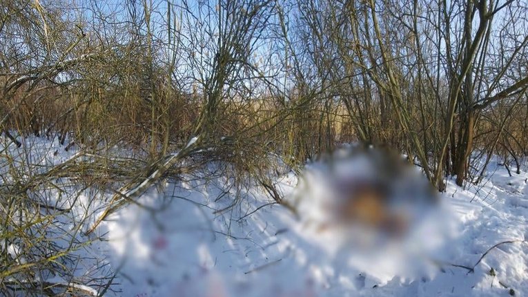 У Миргородському районі затримали браконьєра, який застрелив самицю оленя