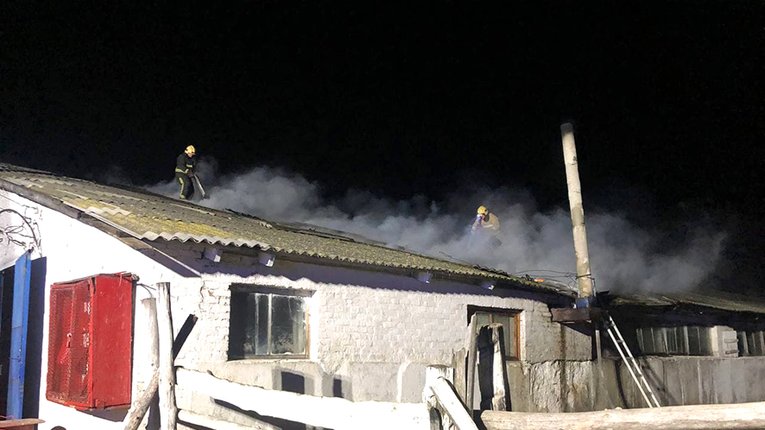 Дві сотні корів врятували у пожежі на Полтавщині