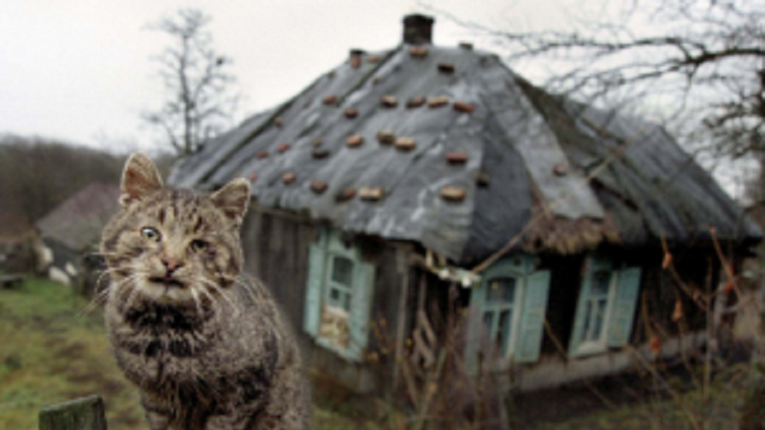Фото ілюстративне