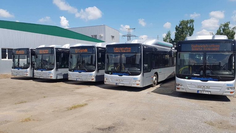 Автобуси замість маршруток: Луцьк наслідує приклад Дніпра, а Полтава пасе задніх