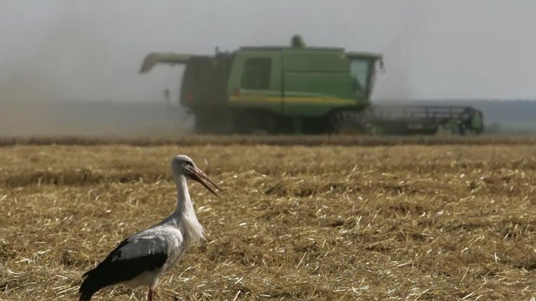 Обсяги виробництва української сільгосппродукції скоротилися, — Держстат