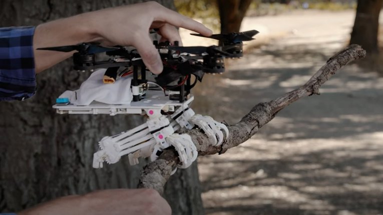 У США створили дрон  у вигляді пташиних ніг з кігтями
