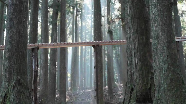 В Японії спорудили величезний ксилофон прямо у центрі лісу!