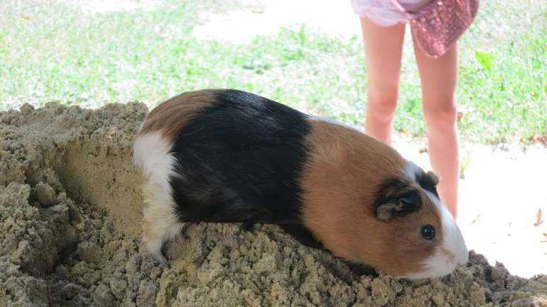 Пісок від Бастіону добрався і до дворів на Браїлках