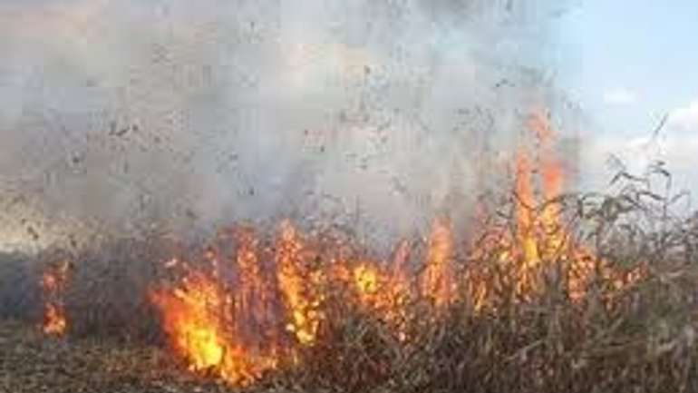 Вчора на Полтавщині горіли поля і палали торф’яники