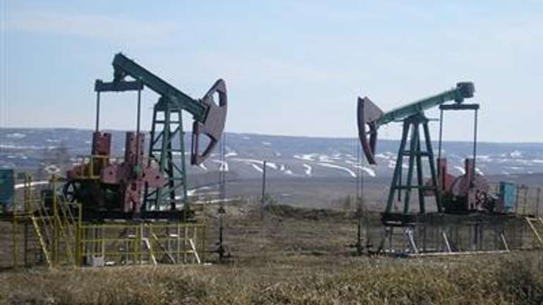 Екс-міністр Януковича в бігах відсудив у держави полтавські нафтогазові площі
