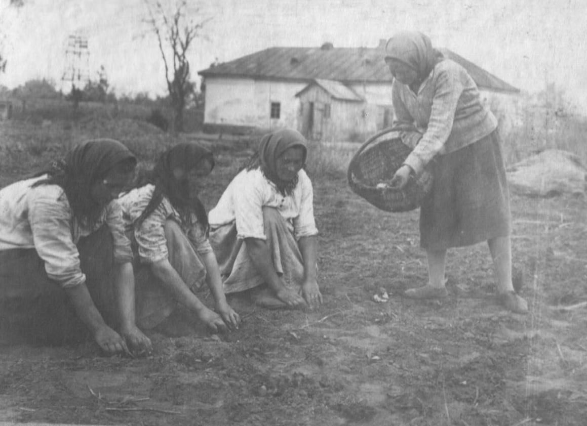 Село голода. Голод в СССР 1932 1933 В деревне. Голодомор 1932-1933 в Україні.