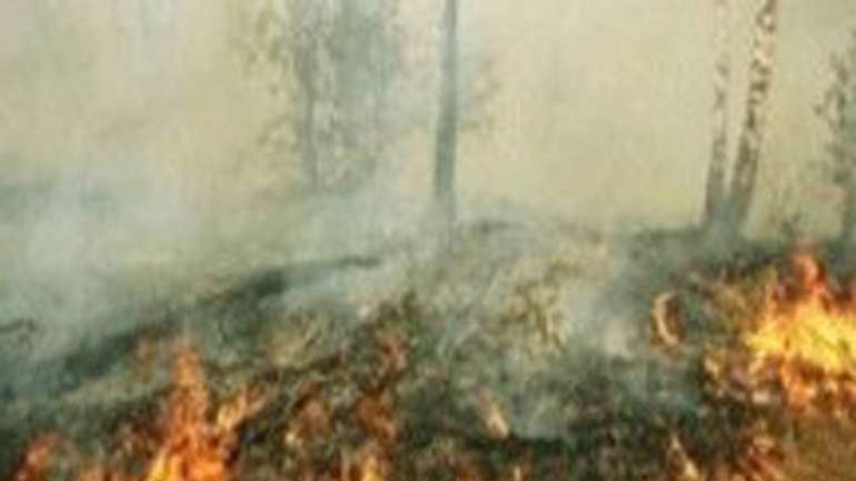 Невідомий підпалив торф’яники на Полтавщині