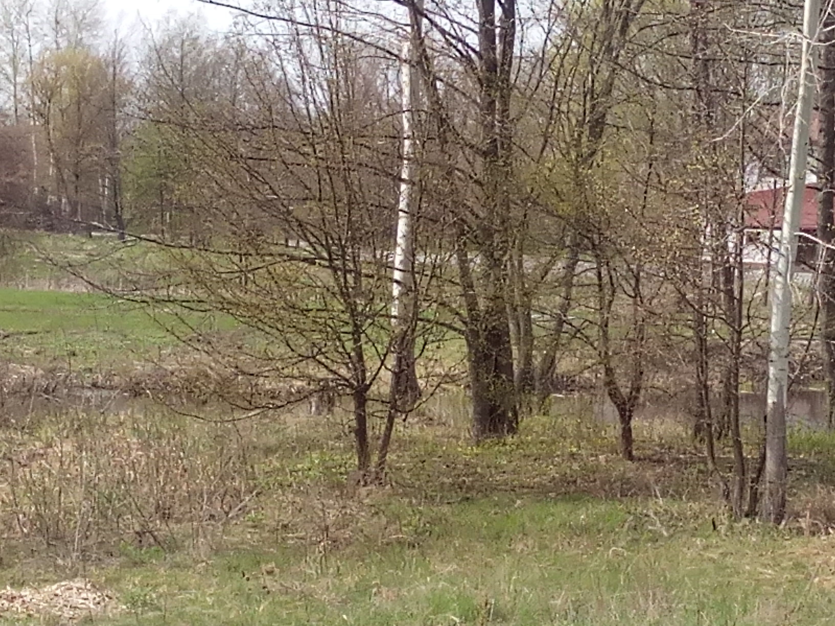 ​Влада провокує кривавий земельний конфлікт_1