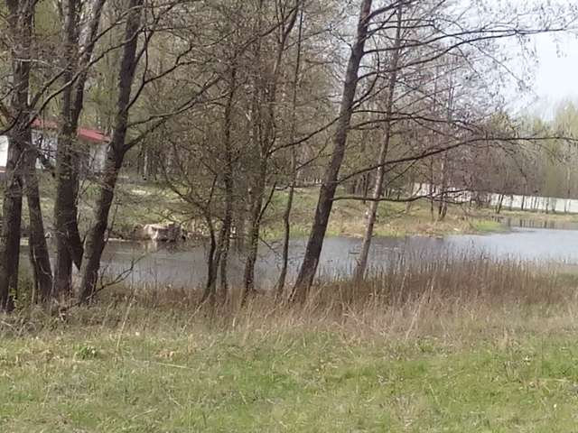 Влада провокує кривавий земельний конфлікт_3