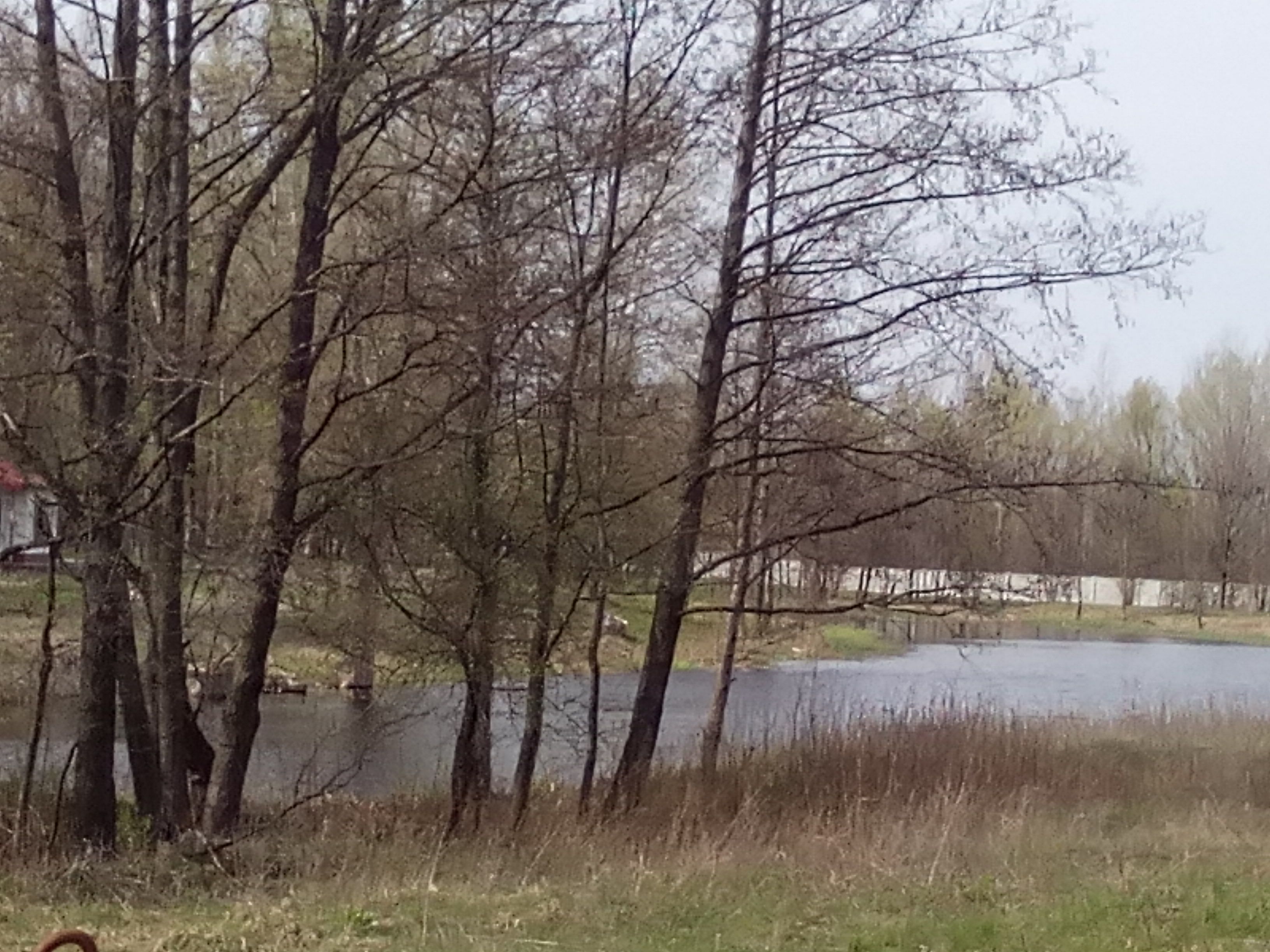 ​Влада провокує кривавий земельний конфлікт_5