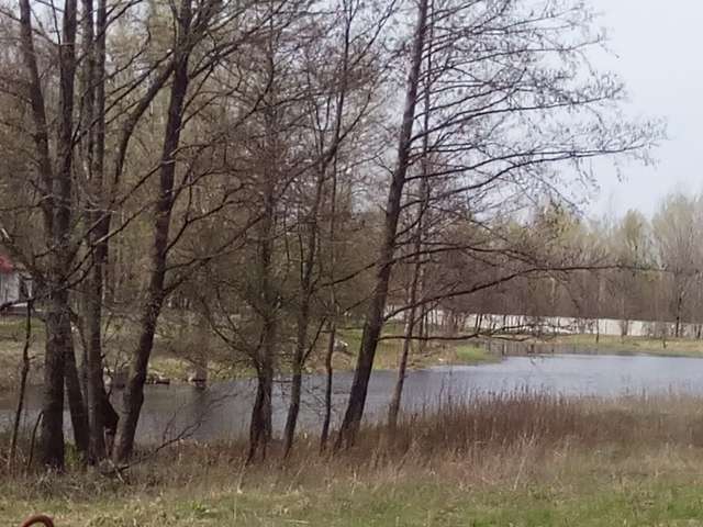 Влада провокує кривавий земельний конфлікт_5