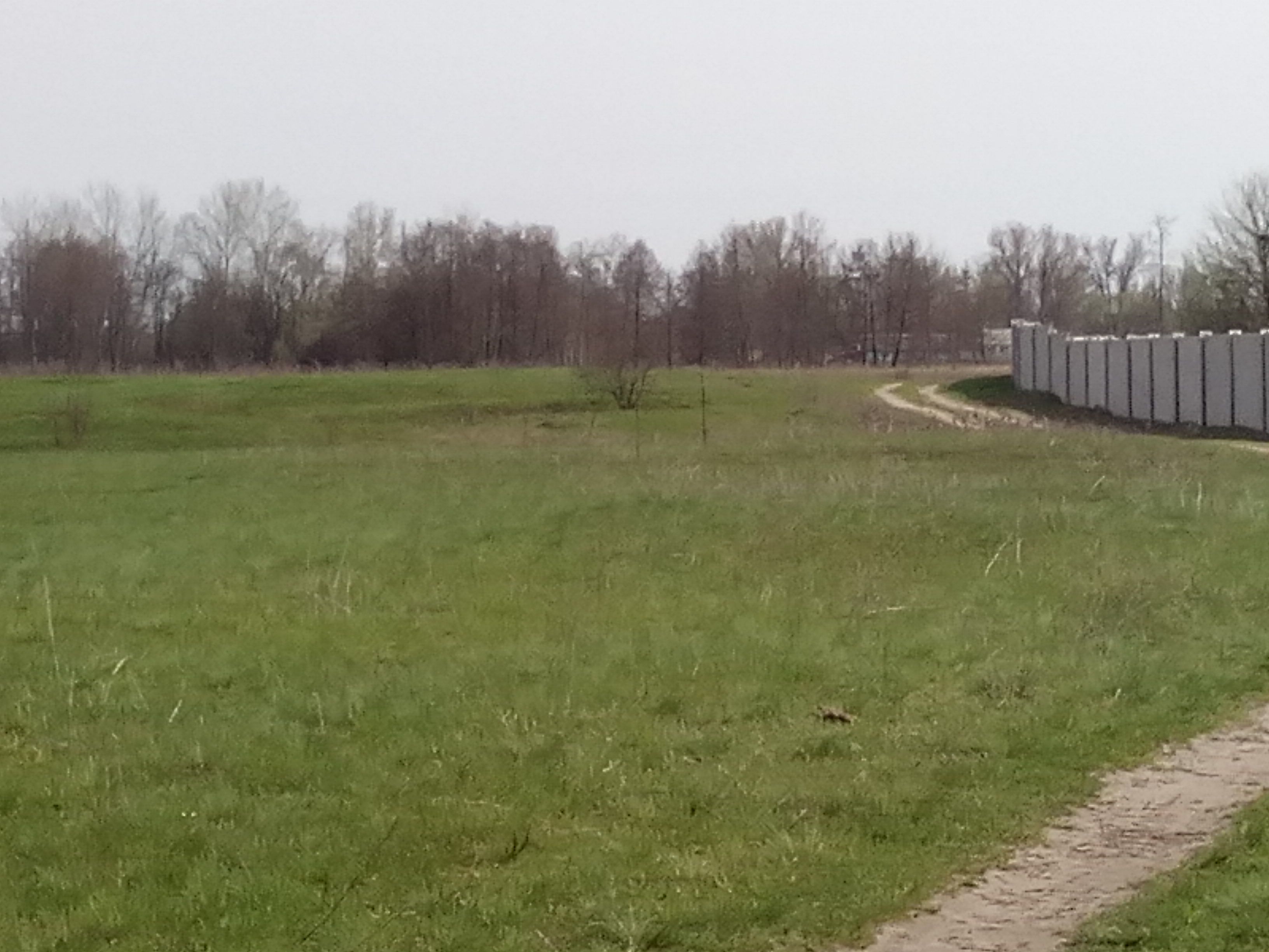 ​Влада провокує кривавий земельний конфлікт_9