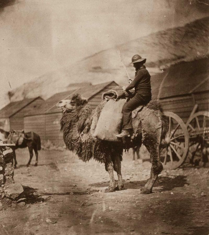 Кримська війна - перший в історії військовий конфлікт, який знімали фотографи_5