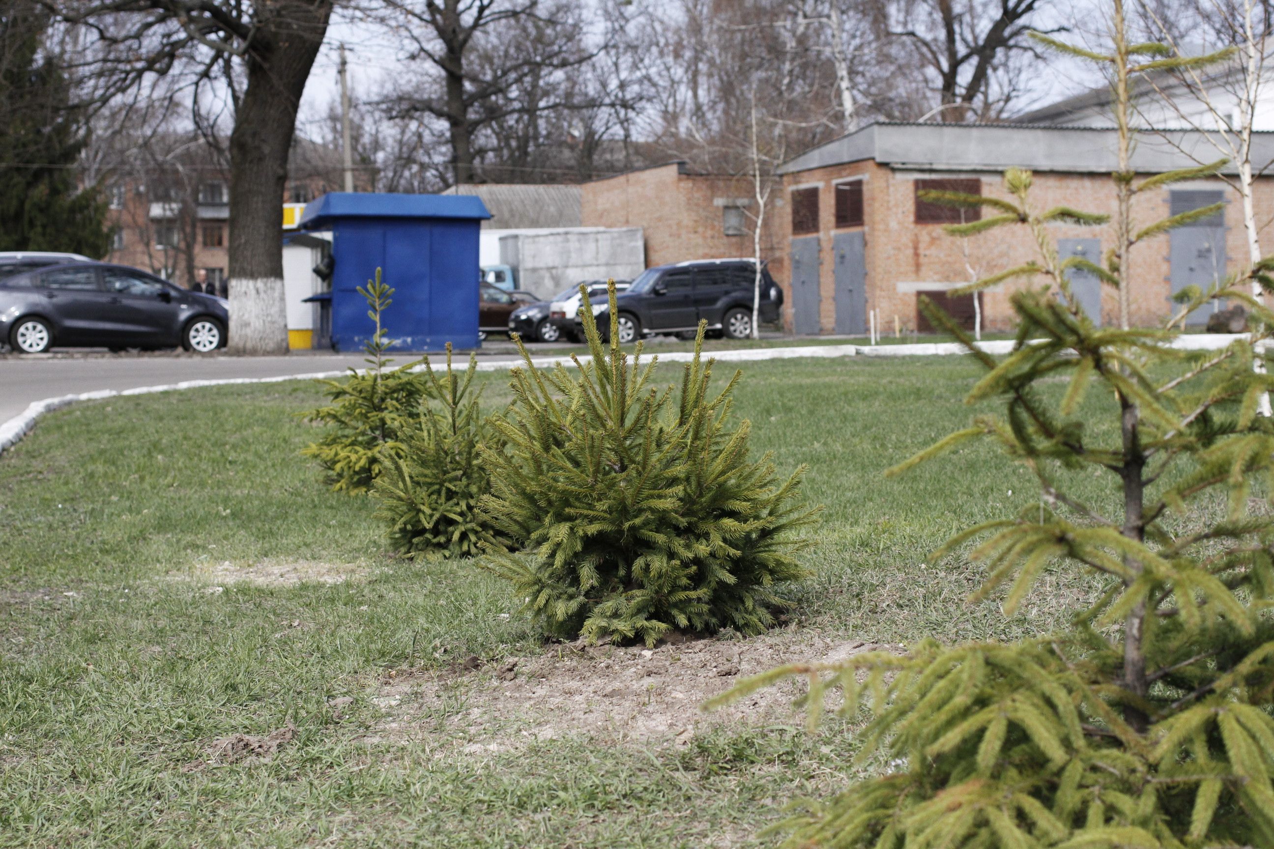 Медицина європейського рівня на прикладі Полтавської лікарні імені Скліфосовського_1