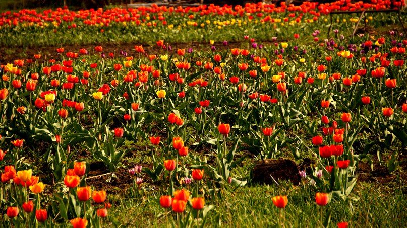 Блог із окупованого Луганська: «війна з ЛНР – вершина айсбергу. Її основа – налагоджений бізнес»_1