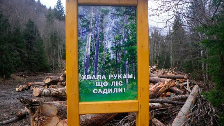 Заповідні ліси тимчасово заборонили вирубувати на Полтавщині