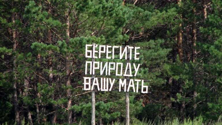 500 га лісів щорічно вирубують на Полтавщині