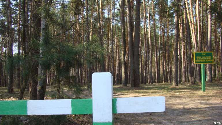 Лісництва Полтавщини готові надати досвід відновлення лісів іншим областям