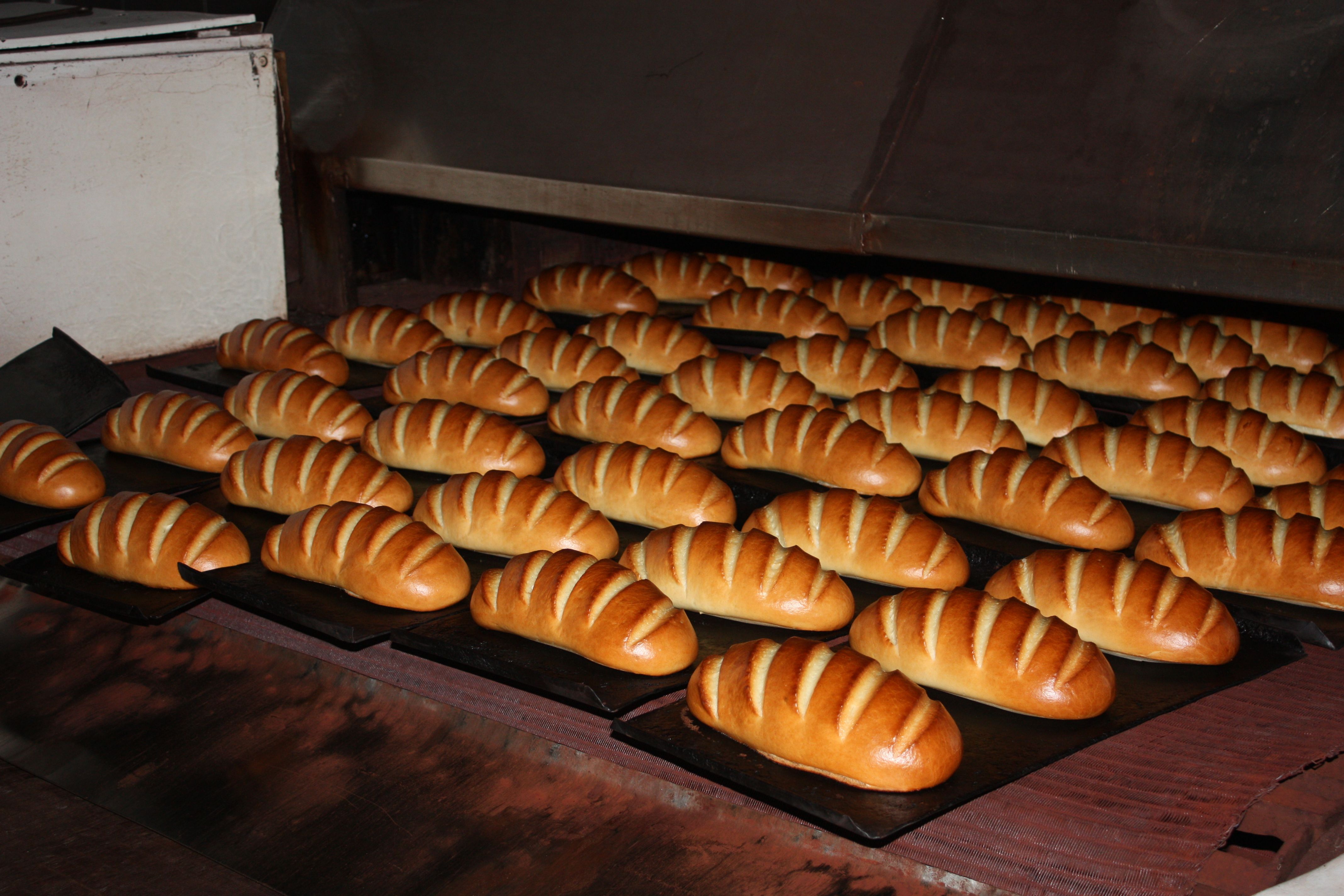 Рік у керма: що зробив Биков на посаді міського голови Горішніх Плавнів?_21