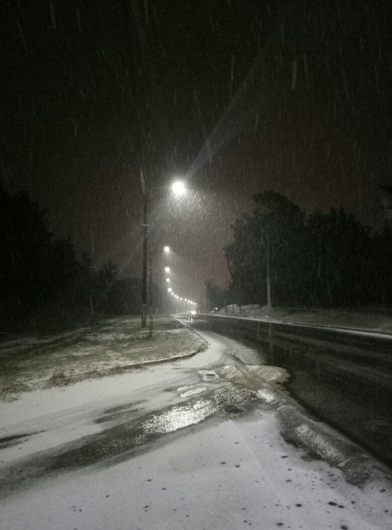 Рік у керма: що зробив Биков на посаді міського голови Горішніх Плавнів?_23