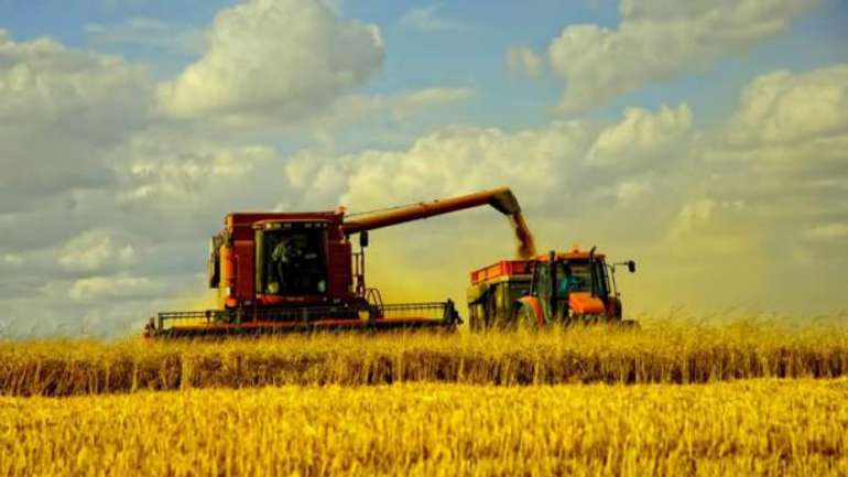 Полтавщина – друга за виробництвом аграрної продукції в Україні