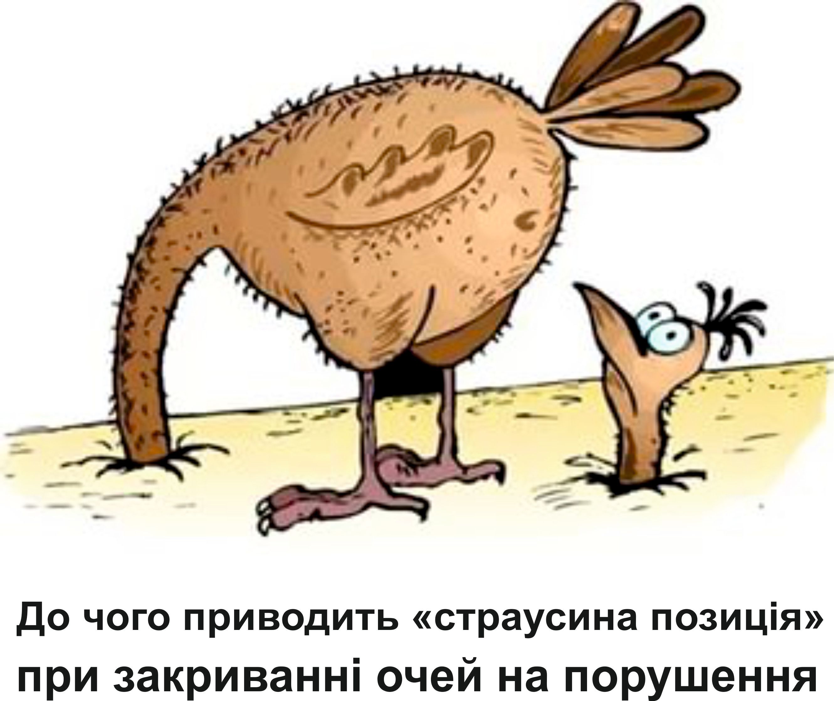 POLLYWOOD, каруселі, кулуари – післясесійний аналіз засідання облради _17