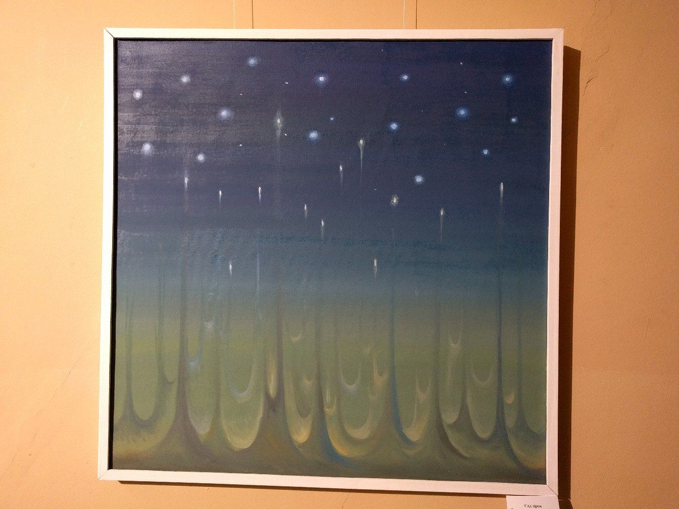 Художник Віктор Бабенко презентував полтавцям власну «АРТ-лабораторію»_3