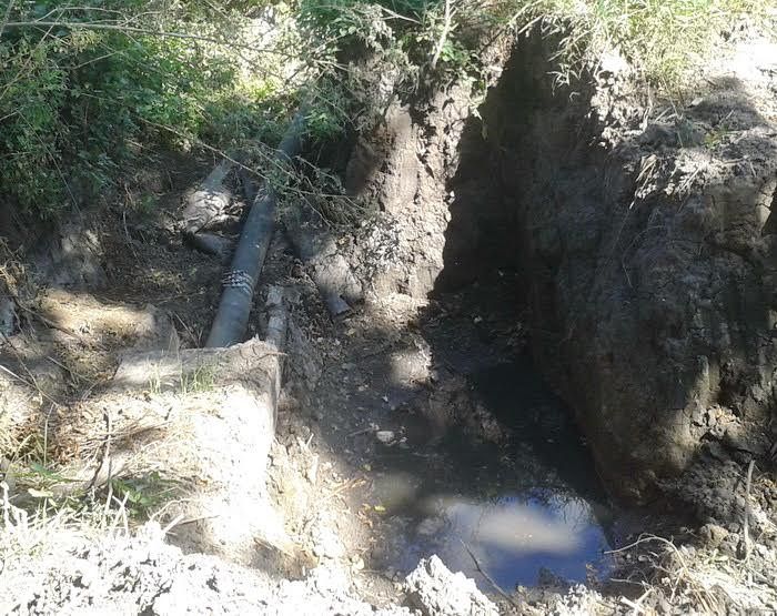 Полтавський Господарський суд постановив стягнути 3,63 млн грн із білицького свинокомплексу за шкоду екології _1