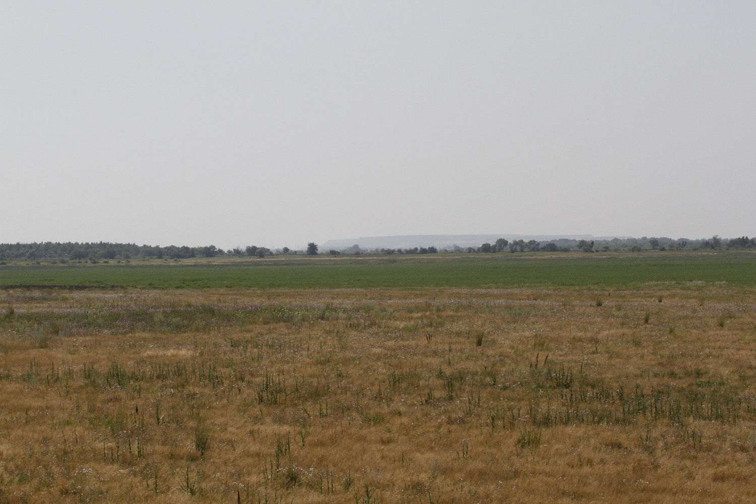 Між житницею і дійницею – чому екологічна Полтавщина стає міфом_3