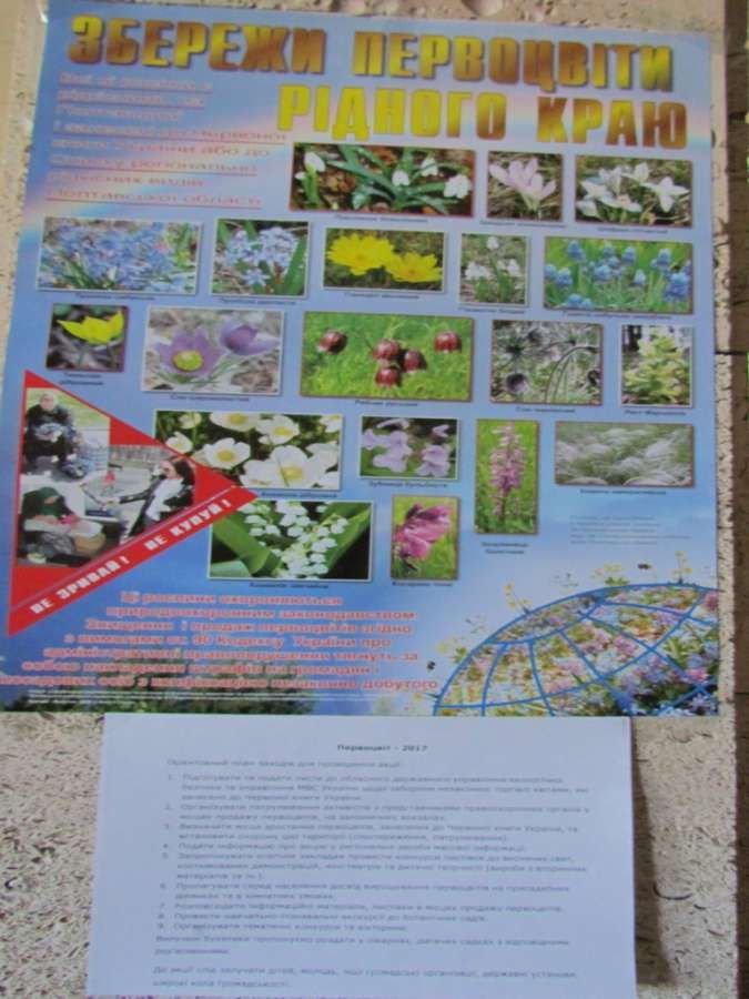 У Полтаві провели акцію «Первоцвіт-2017» _1