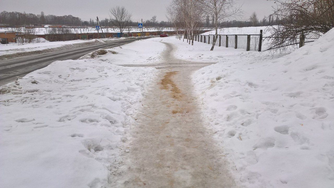 Майже 4 тис. полтавців травмувалося через нерозчищені тротуари - АМКУ_1