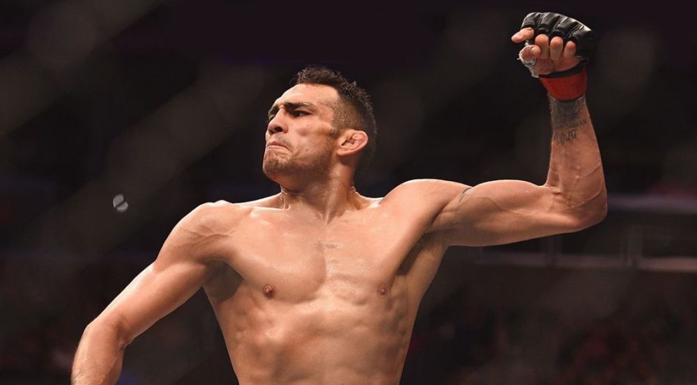 Хабіб Нурмагомедов: «У суботу голодний орел з'їсть домашнього кота»_3