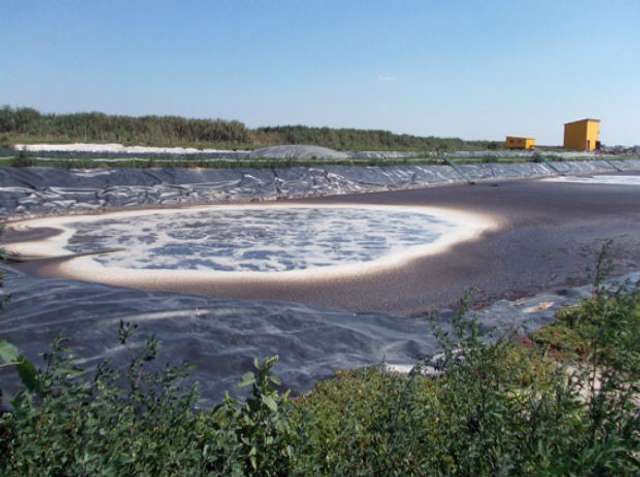 Головко до 1 квітня пообіцяв вивезти всіх свиней із Білицького свинокомплексу _3