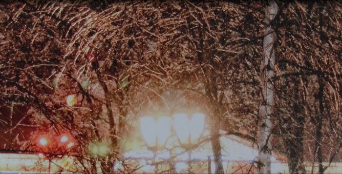 Полтавський фотограф Коротков презентував фото-виставку містян_3