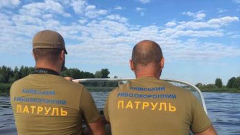 За 1,5 місяці нересту зафіксувано порушень на 34,6 млн грн, ̶ Держрибагентство