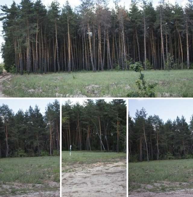 Генерали піщаних кар’єрів: хто і як розкрадає надра Полтавщини_25