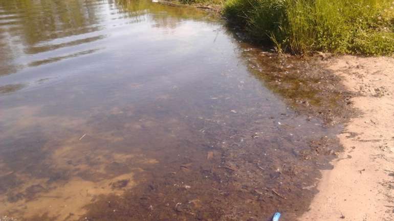 У двох найбільших річках Полтавщини заборонили купатися