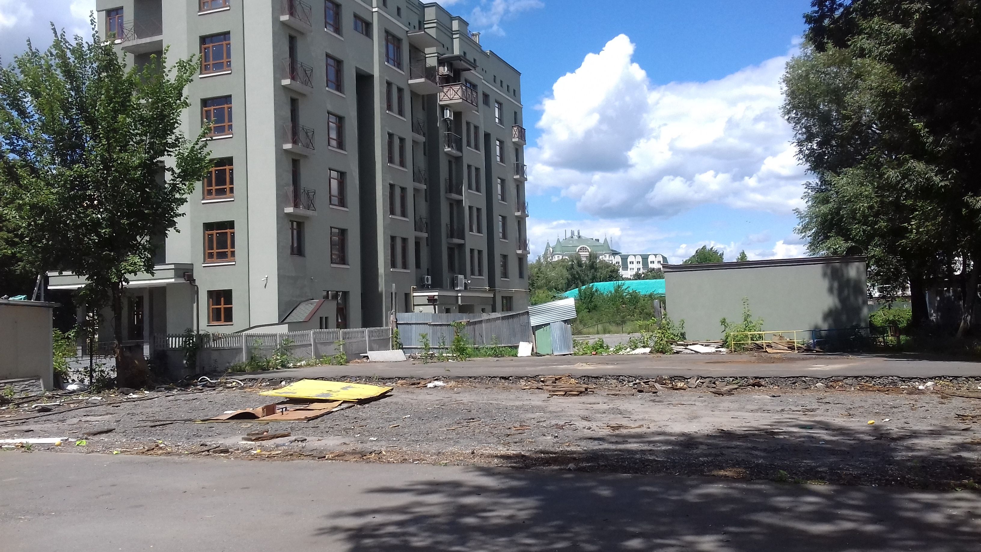 Головко пішов на парк «Перемоги»: вирізають усе, крім чортового колеса _5